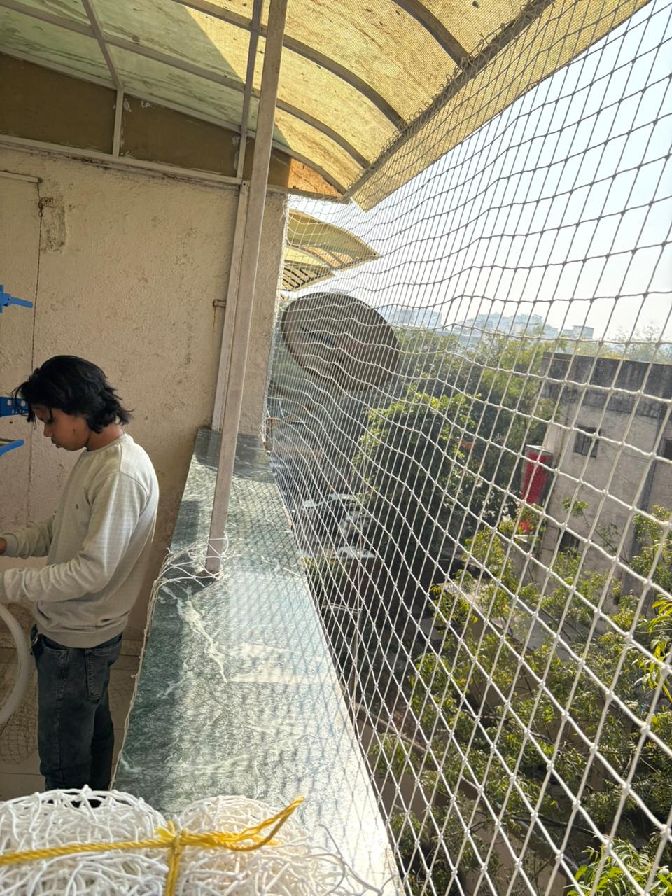 Pigeon spike on ledge